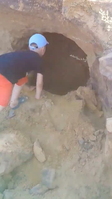 Нашли берлогу медведя #нора #nora #shorts смотреть онлайн