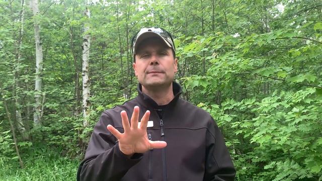 What is Lyme Disease? смотреть онлайн