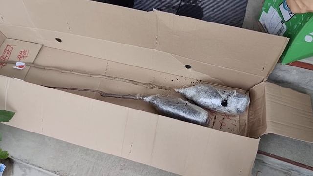 ВІДЕОВІДГУК АГРОМАРКЕТ  Плодові саджанці та подаруночок  Agro-Market.ua