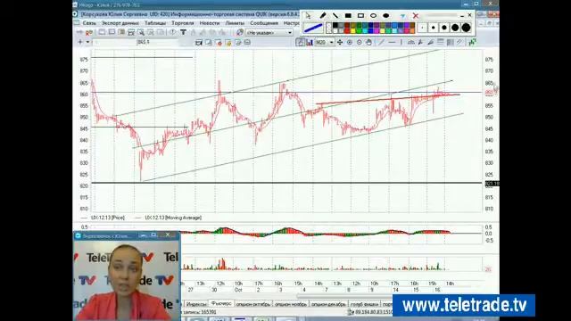 Teletrade Корсукова Портфельное инвестирование 2013 10 16 1 смотреть онлайн