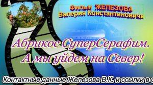 Абрикос СуперСерафим. А мы уйдем на Север!