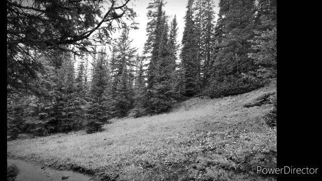 Kurt Cobain Demo. "Hung Him On a Cross." смотреть онлайн