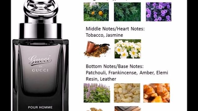 Gucci By Gucci Pour Homme Review