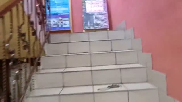 г. Калтан, пр-т. Мира, д. 15 смотреть онлайн