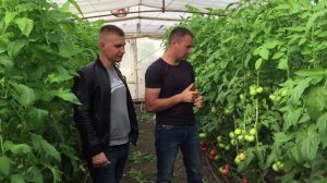 Философия работы АгроДвиж - 2я часть