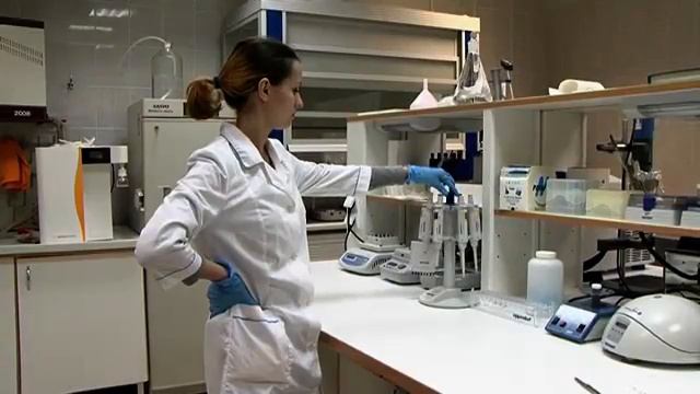 ИнБио - Институт биологии Тюменского государственного университета смотреть онлайн