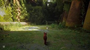 STRAY - Прохождение игры #1