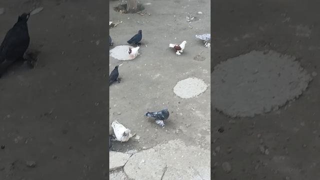 17 ноября 2022 г. смотреть онлайн