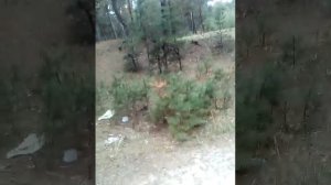 Лебедин. Сумська область