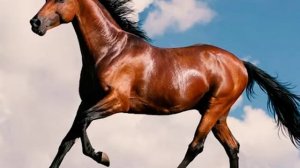 Нашид jundallah джундуллах нашид без музыки