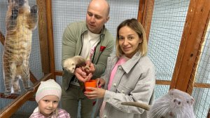 Посетили в Могилеве с Милой контактный зоопарк, покормили лису, змею и тараканов