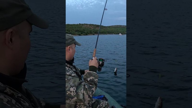ловля в заливе #fishing