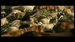 Okna Cahan Zam - Edjin Duun (Владимир Каруев - Песня о матери)