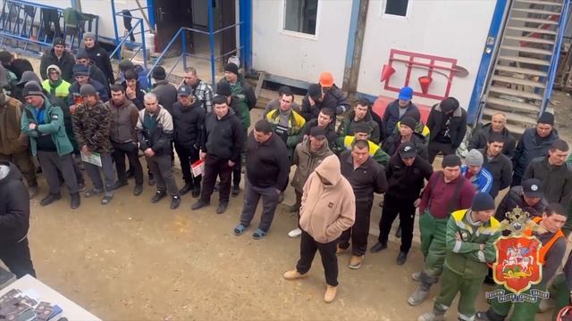 В Жуковском полицейские выявили нарушения миграционного законодательства на строительной площадк смотреть онлайн