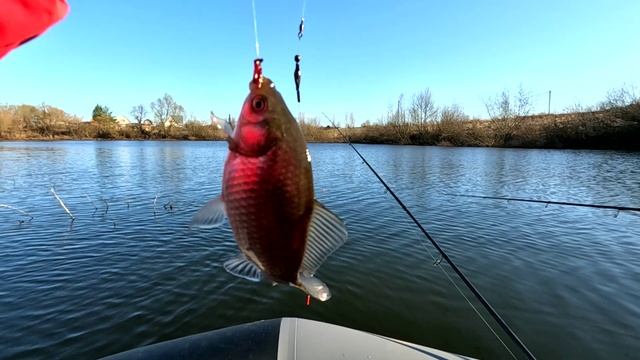 Карась ранней весной с лодки. смотреть онлайн