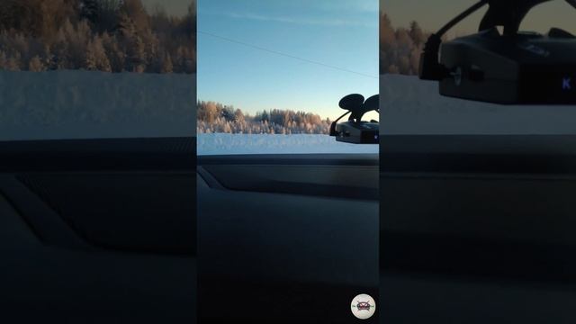 стихи: пока бьётся сердце