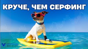 Круче, чем серфинг. Знакомство с курсом.