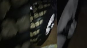 Передний мост газ 66 на мтз 80