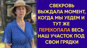 Свекровь решила, что может командовать на моей территории
