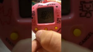 Как Научиться играть в тамагочи