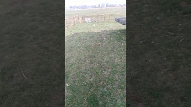 #ЯЧЕВО #2020 #ПАСХА #АЛЬФА И БЭТА# смотреть онлайн