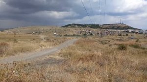 феодосия виноградное 23072023