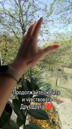 Дальнобой.mp4