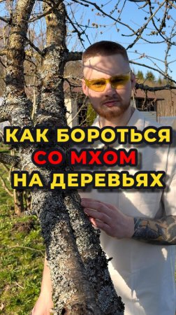 В нем скрываются болезни и вредители, которые помешают вам получить большой урожай.