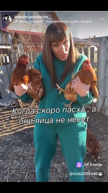 clip229694670_456239028