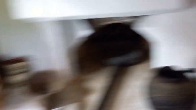 Прогулянка Гуцул Лендом ч.2 🐄 смотреть онлайн