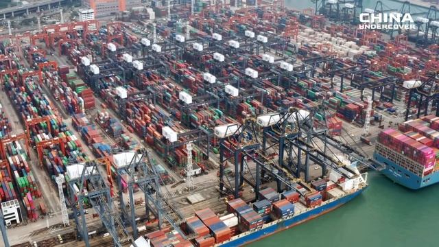 Hong Kong's Unprecedented Crisis: Economic Collapse, Mass Exodus, and Property Market Disaster смотреть онлайн