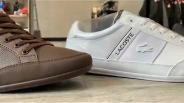 Buy Wholesale For Resell Lacoste Casual Trainers/Shoes sizes 6 to 12