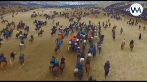 ULOQ KO'PKARI | УЛОК КУПКАРИ (2-QSIM)