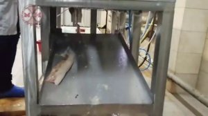 Филетировочная машина ФМ-45 для щуки