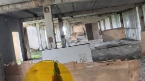 Почему я выбрал ОТКРЫТЫЙ КОЛЛИМАТОРНЫЙ ПРИЦЕЛ Artelv RDO 1x28. Качество и надежность👍