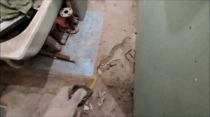 Бюджетный вариант ремонта, Ремонт 12 часть, Ванна , убираю старую плитку с пола в ванной.