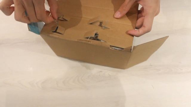 Fisher Price Zebra on Wheels: Unboxing
