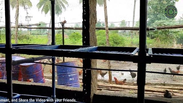 Hydroponic Green Fodder Farming System | Best Hydroponic Fodder for Sustainable Livestock Farming