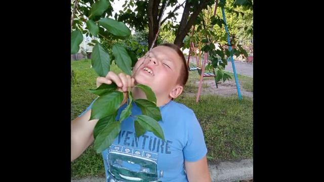 4 июля 2022 г. смотреть онлайн