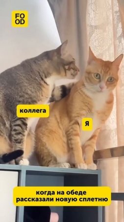 Когда села пообедать на работе#юмор #смех #веселье #прикол #еда #питание #обед #foodru