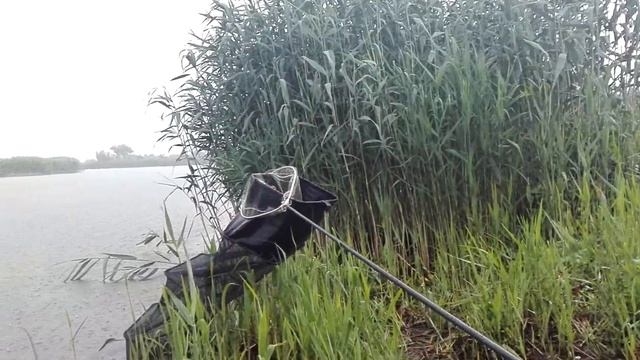 Ploaie zdravana pe balta la nanesti vn смотреть онлайн