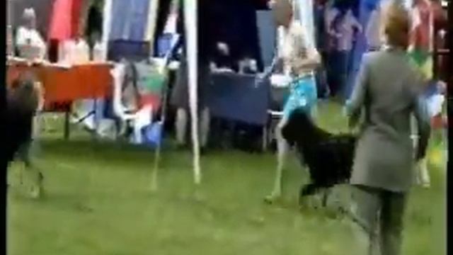 ШОУ ТИБЕТСКИХ ПОРОД Швеция, июль 2008 г часть 1 2 смотреть онлайн