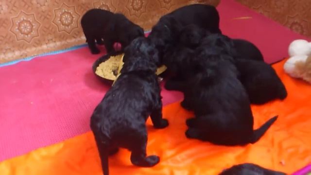 MOV_0258 смотреть онлайн