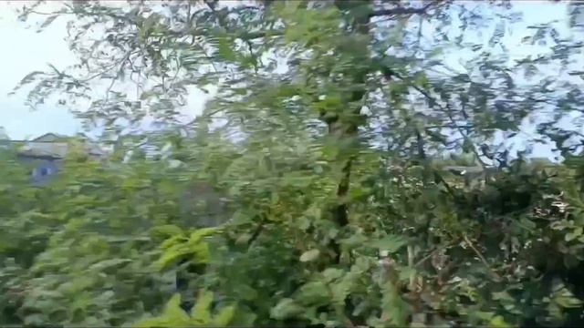 НА ТУРИСТИЧЕСКОМ РЕТРОПОЕЗДЕ,, СОЧИ" В АБХАЗИЮ.