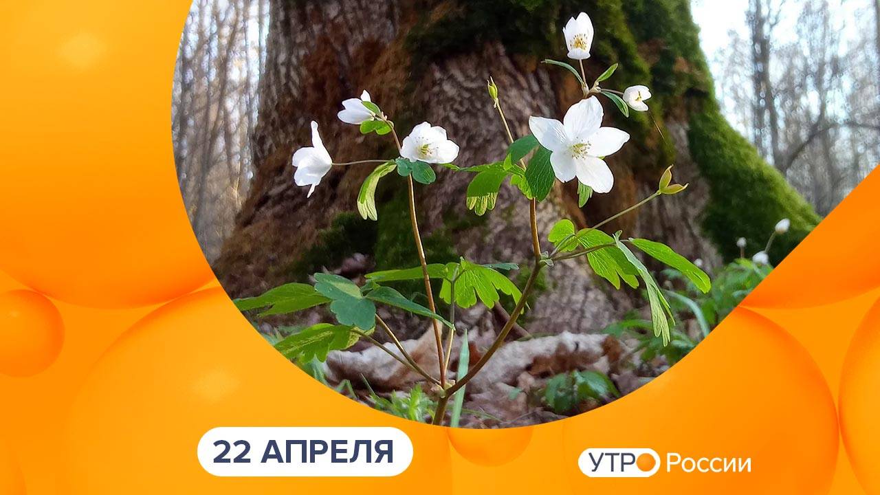 Утро России. Калуга (22.04.2025)
