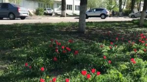 Доброе утро от Галины 22.04.25.