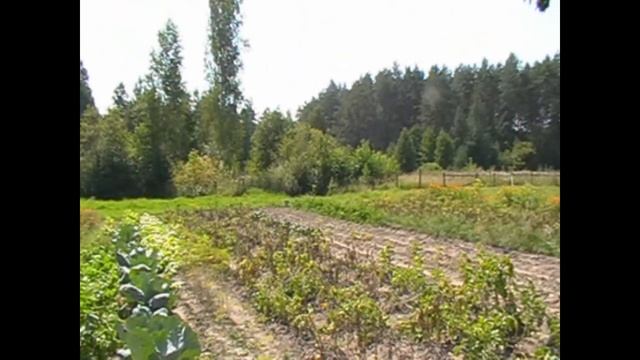 Меняю город на деревню смотреть онлайн