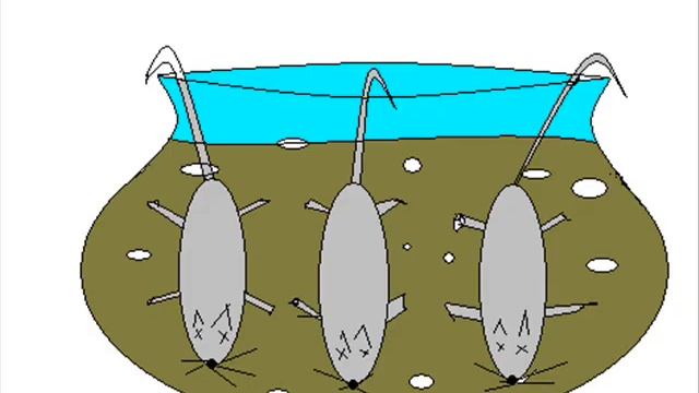 мультик из паинта 2.wmv смотреть онлайн