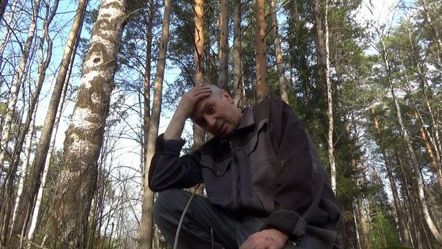 Густой лес может таить опасность.