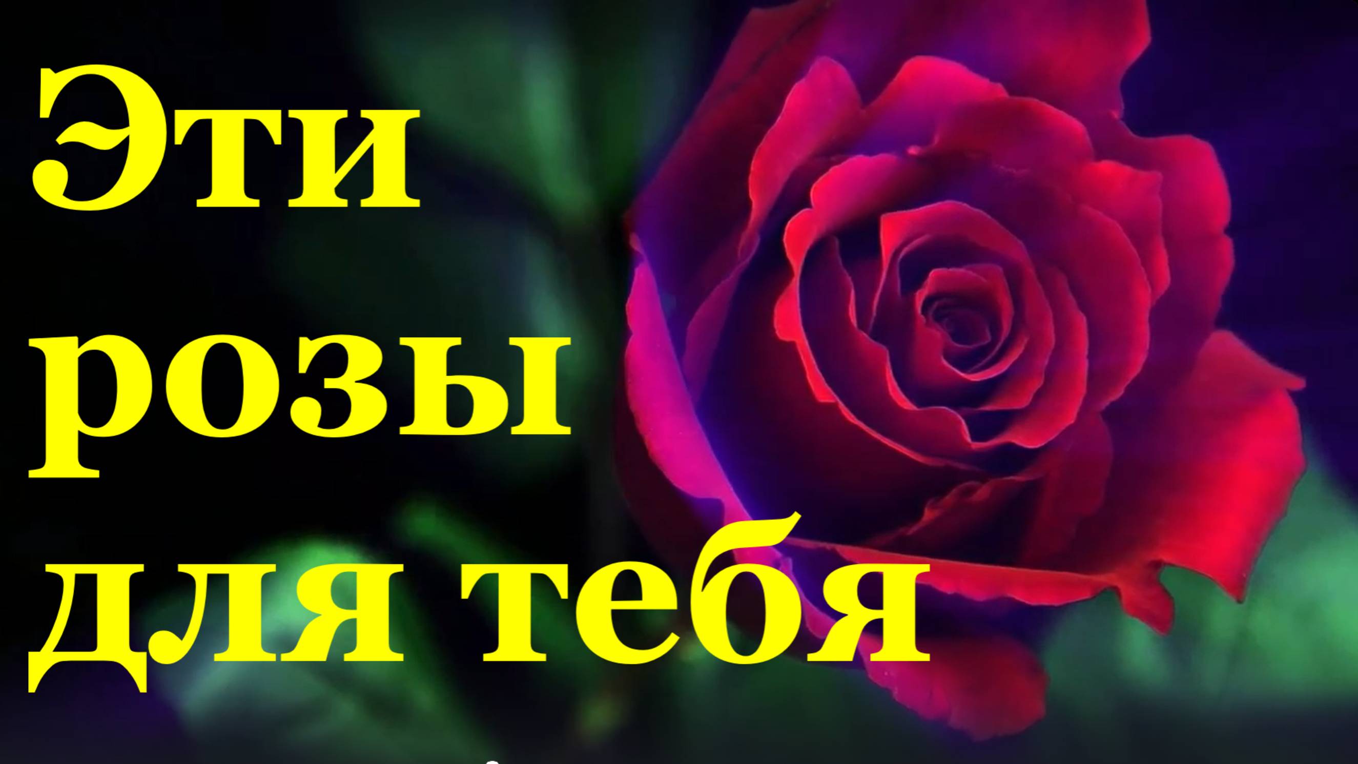 Песня Эти розы для тебя красивые песни о любви про любовь